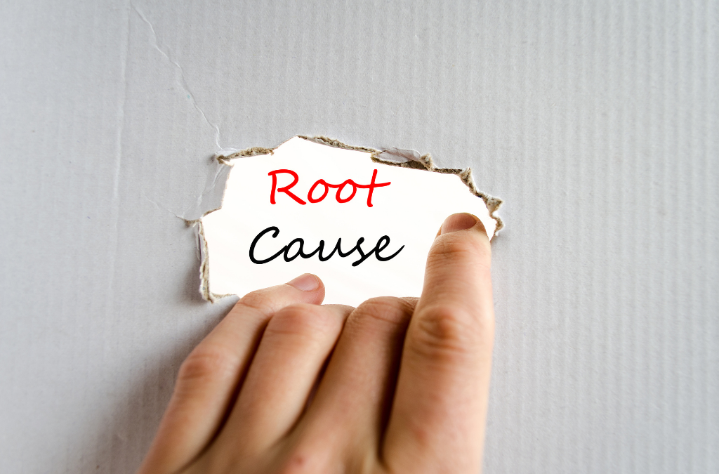 Root Cause | Weight Loss Coach and Nutritionist