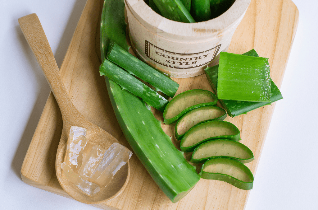 Aloe Vera | Weight Loss Coach and Nutritionist