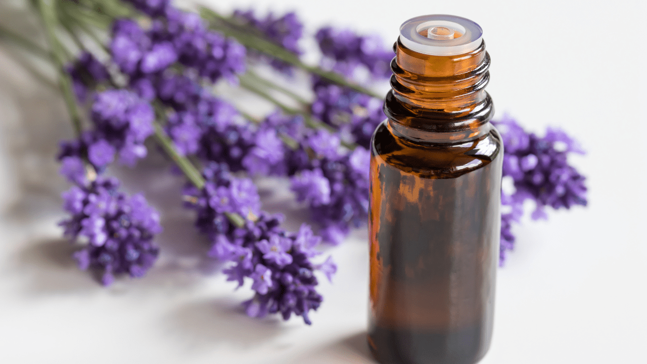 Lavender essential oil | Weight Loss Coach and Nutritionist