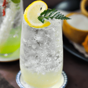 Lemon Lime Ginger Ale Recipe