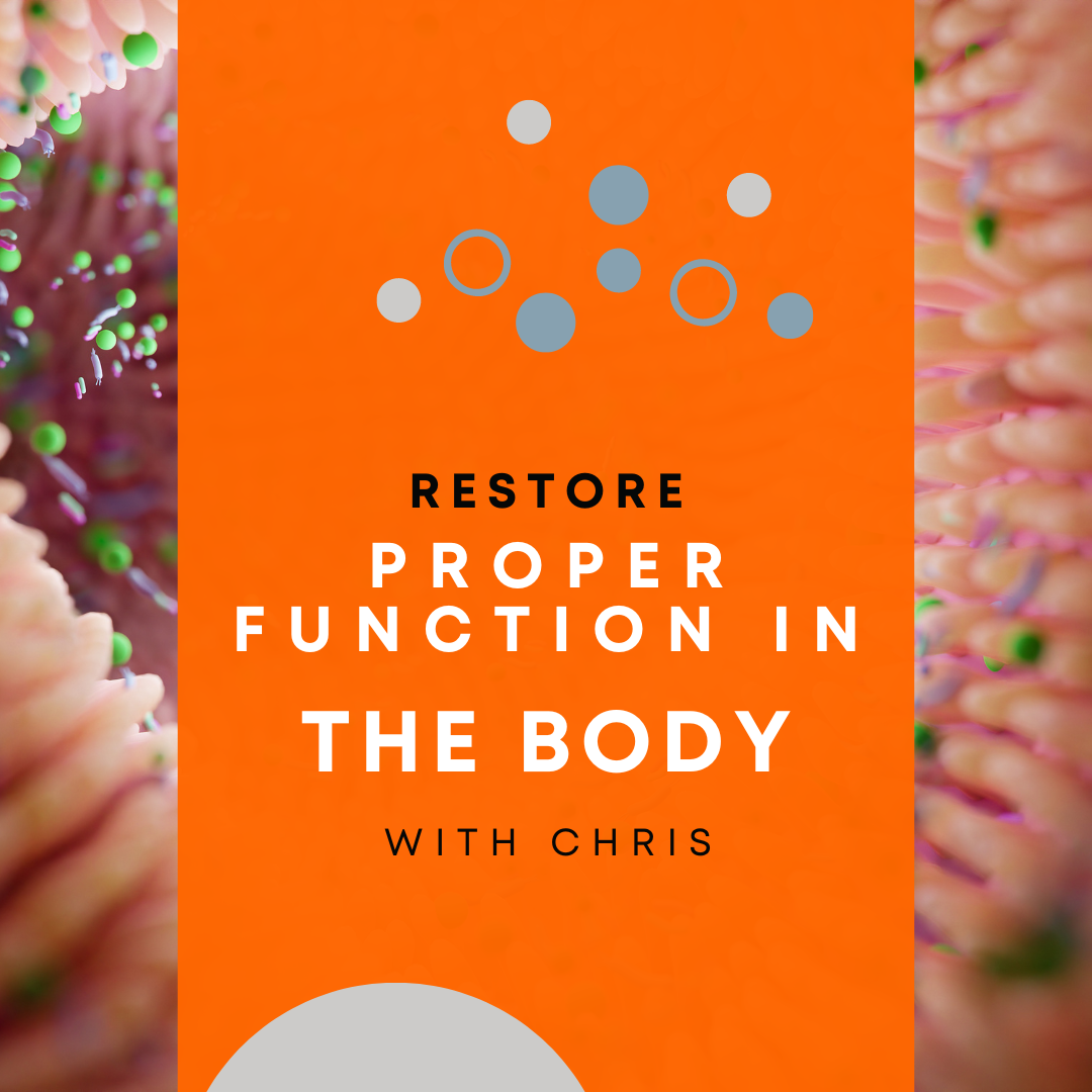 Restore Proper Function In the Body