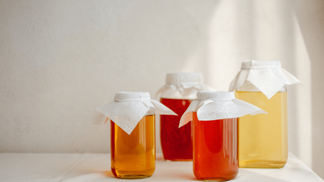 Different varaties of kombucha - gut health benefits of kombucha