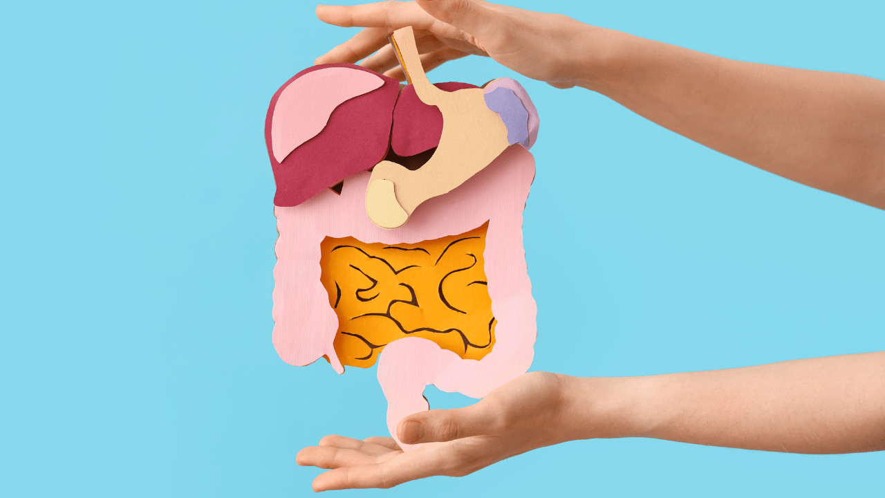 Poor Digestion - Focus On Gut Health For Weight Loss Poor Digestion - Focus On Gut Health For Weight Loss