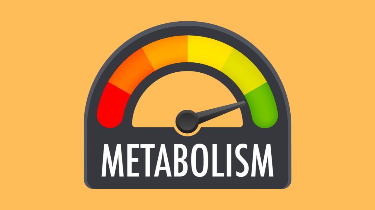Heal Your Metabolism Naturally Coach Chris Nutritionist & Weight Loss Coach Heal Your Metabolism Naturally | Coach Chris Nutritionist & Weight Loss Coach