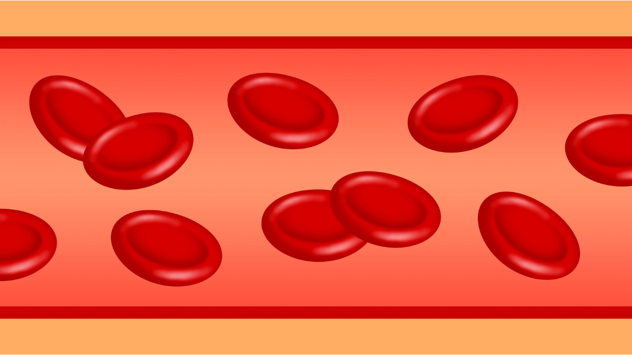 Insulin and Blood Sugar | Hormone Balance & Weight Gain