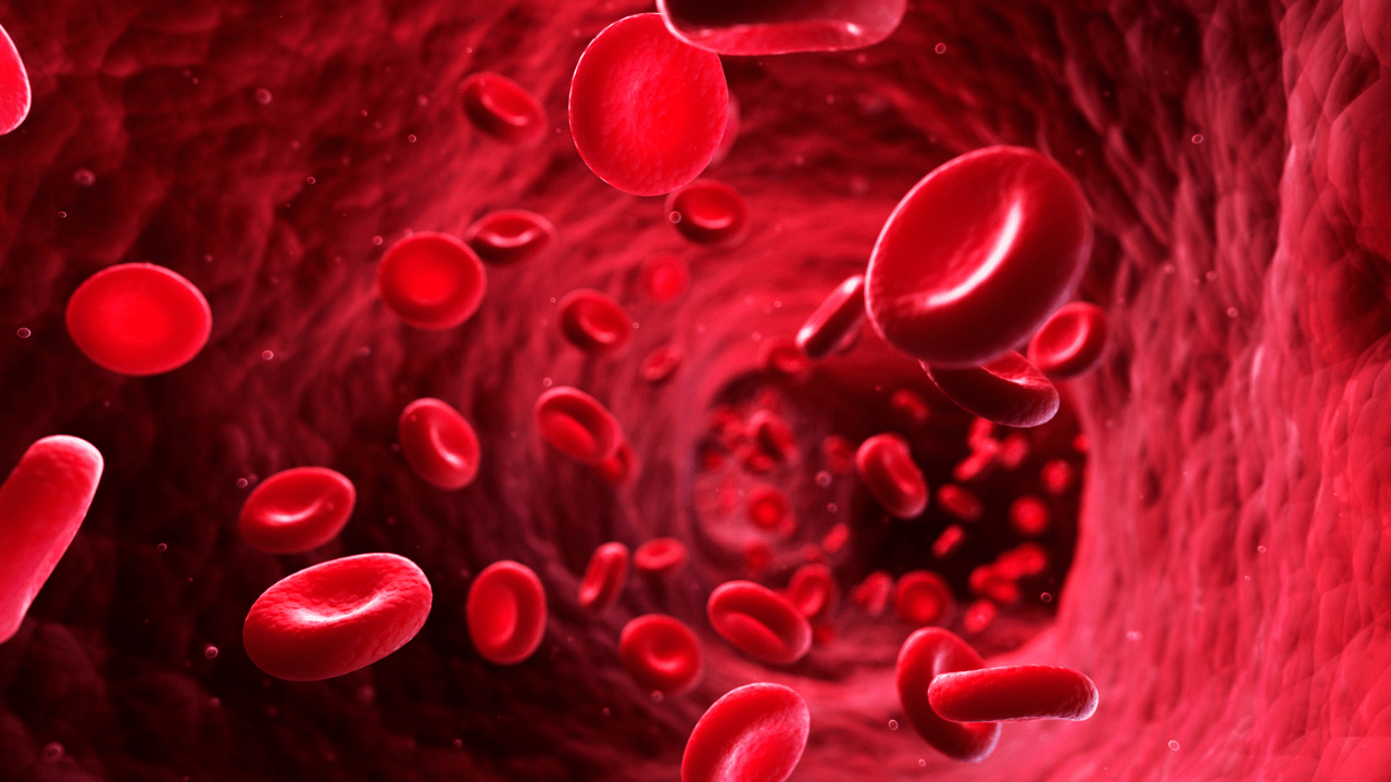 Blood Sugar Balance - Hormone Balance Guide
