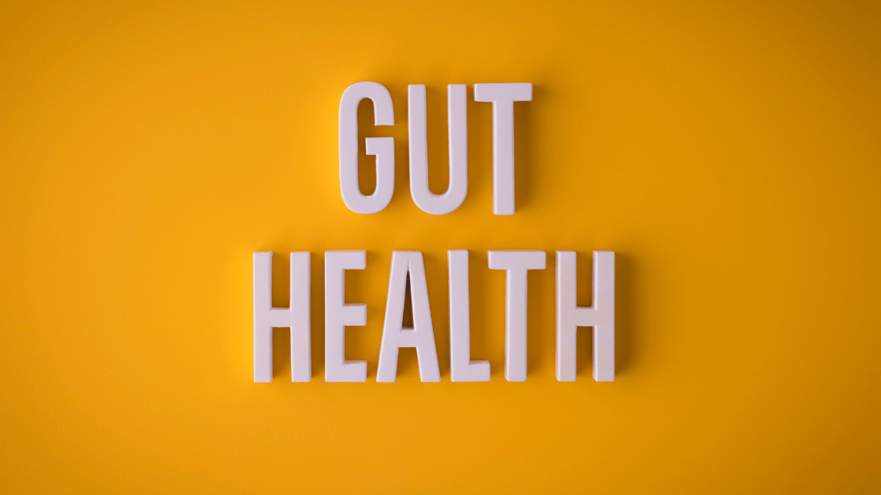 Gut Health For Hormone Balance