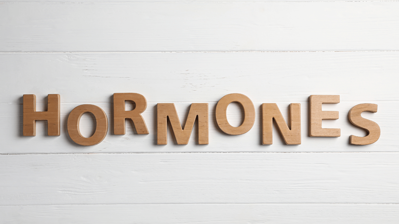 Hormones & Blood Sugar - Hungry After Dinner Hormones & Blood Sugar - Hungry After Dinner