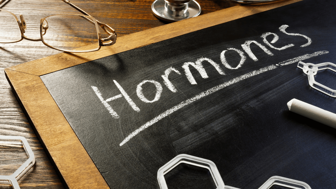 Which hormones are most connected to belly fat?